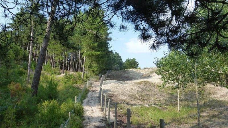 Paddle - Vue Mer - 100M Plage Berck 외부 사진